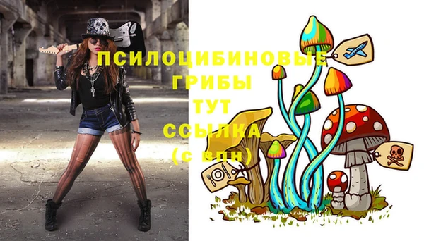 винт Лиски