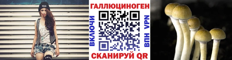 Галлюциногенные грибы прущие грибы  Купить где  Горно-Алтайск 