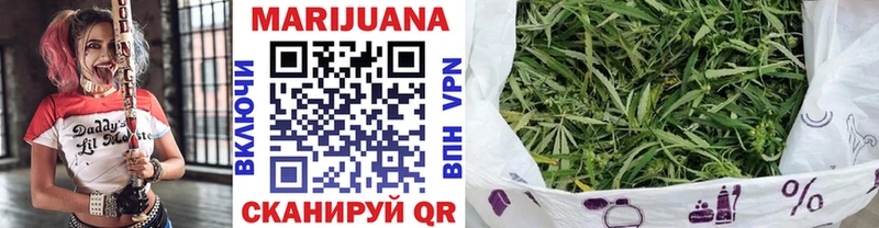 Конопля сатива  Купить где  Горно-Алтайск 